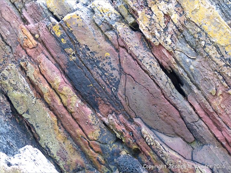 Rock pattern and texture in Carboniferous Limestone