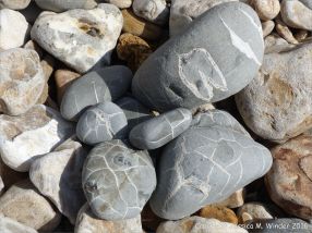 Beach stones with patterns of white calcite veins