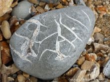 Beach stone with pattern of white calcite veins