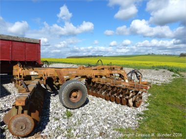 Agricultural machinery and field of flowering oilseed rape crop