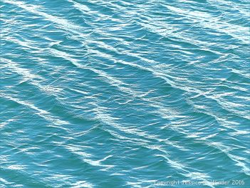 Calm blue-green sea gently rippled by the wind