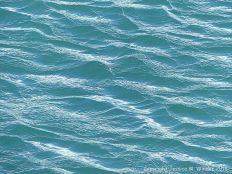 Calm blue-green sea gently rippled by the wind