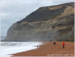Seatown beach looking west towards Golden Cap in Dorset, England - site of numerous trace fossil burrows of marine invertebrates