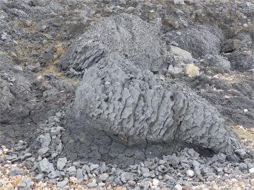 Natural fracture patterns in beach boulders at Charmouth on the World Heritage Jurassic Coast in Dorset, England.