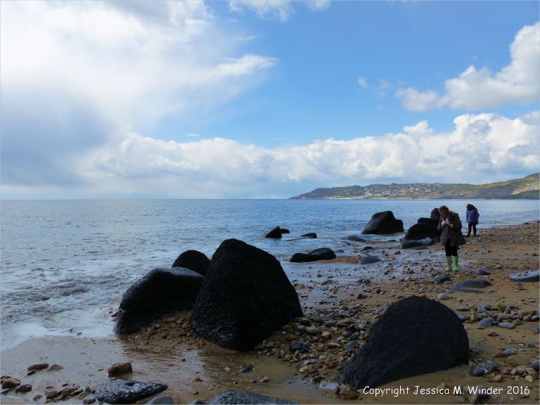 Beach boulders at Charmouth on the World Heritage Jurassic Coast in Dorset, England.