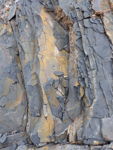 Sedimentary strata from the Carboniferous Cumberland Group at Spencer's Island in Nova Scotia, Canada.