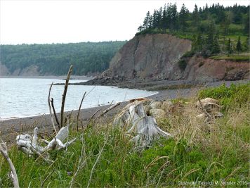 View of the cliffs on the east side of west Bay near Partridge Island