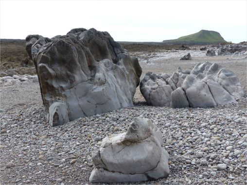 Natural sculpturing of limestone on the Worms Head Causeway in Gower, South Wales.