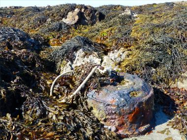 Rusty irom mooring among seaweed at Rocquaine Bay