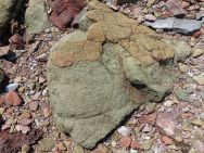 Jurassic North Mountain Basalt boulder at Wasson Bluff