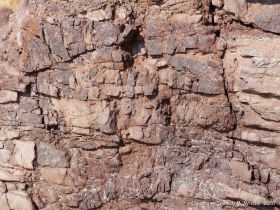 Triassic to Jurassic Blomidon Formation rocks at Wasson Bluff