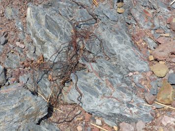 Triassic to Jurassic Blomidon Formation rocks at Wasson Bluff