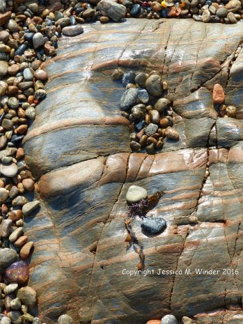 Metamorphic rock textures and patterns