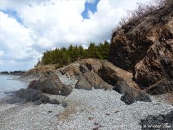 Silurian rocks from Arisaig, Nova Scotia, Canada.