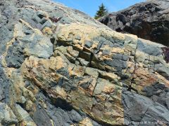 Rock pattern and texture in a basalt flow on Cape Breton Isand, Nova Scotia.