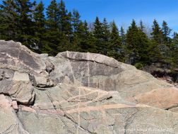 Aplite and pegmatite dykes in granite