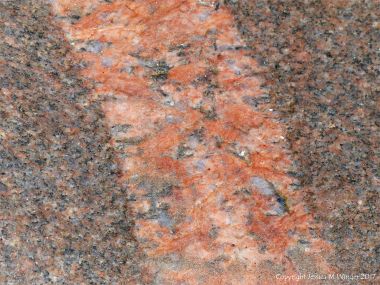 Pegmatite vein or dyke in biotite granite at Black Brook Cove