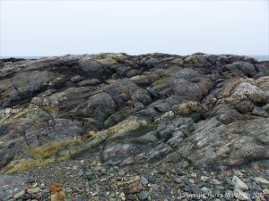 The rocky shore at Fourchu Head