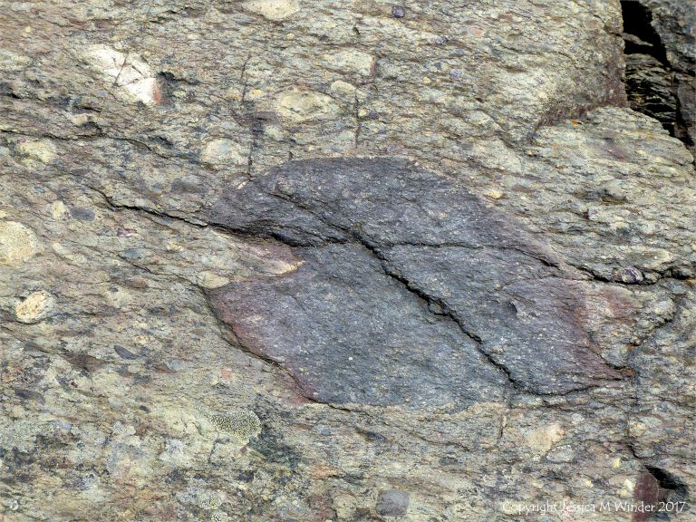 Angular rock fragments embedded in a volcanic ash matrix from a pyroclastic flow in Cape Breton Island