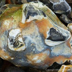 Close-up of beach stone with interesting pattern and texture