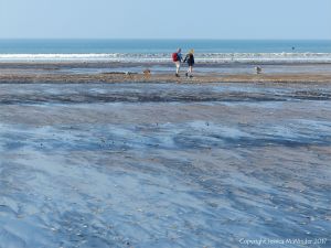 Multiple driftlines and strandlines on the beach at Rhossili