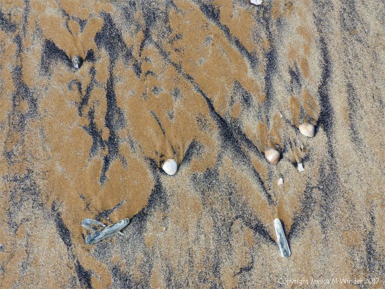Natural patterns on a sandy beach