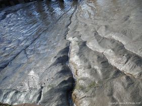 Pattern and texture in soft river mud at low tide
