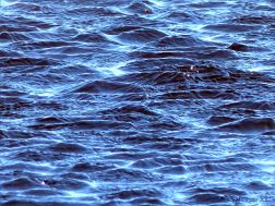 Water surface texture with ripples