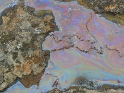 Rainbow-coloured bacterial film on the surface of iron-rich water