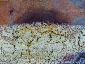 Close-up texture of dried sea foam on rusty iron