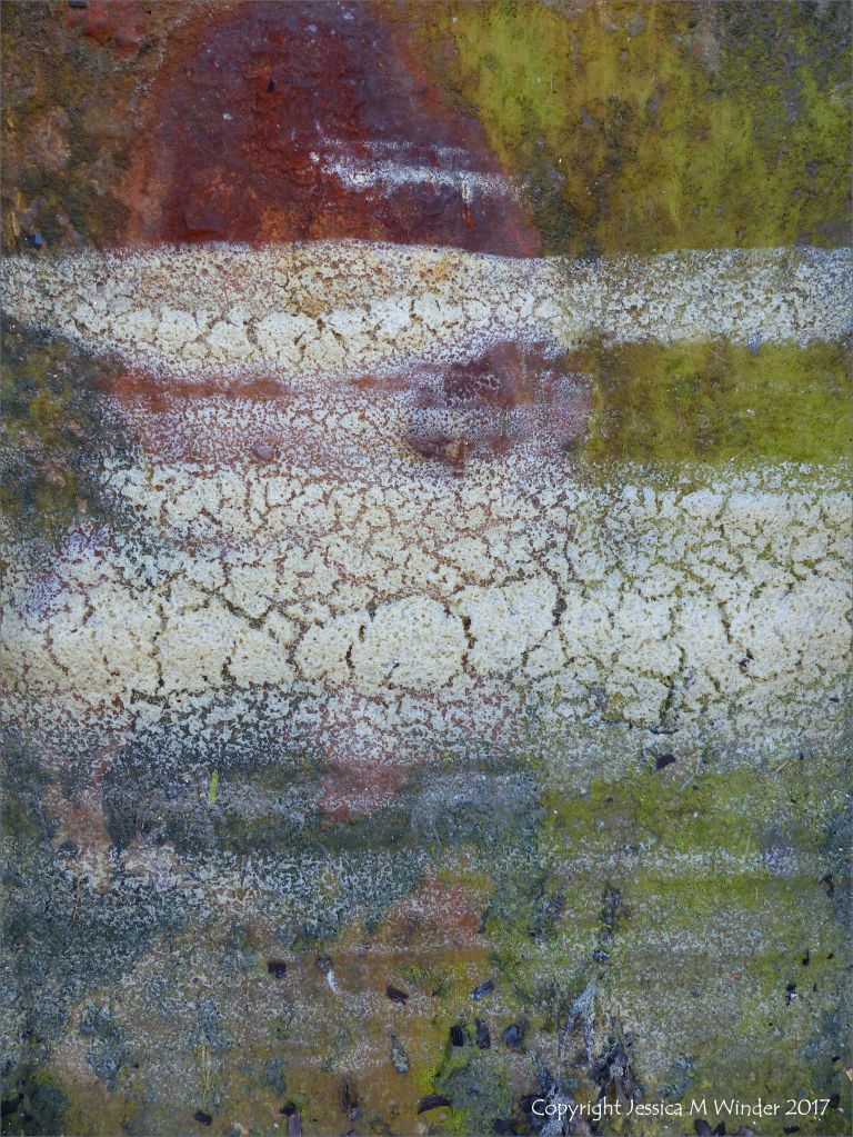 Dried sea foam on rusty iron