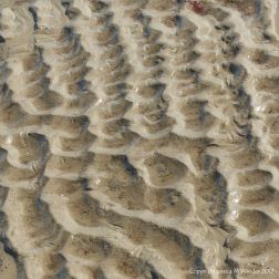 Sand ripple pattern
