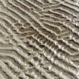 Sand ripple patterns at low tide