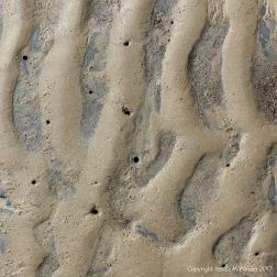 Sand ripples with holes made by piddocks in the underlying rocks
