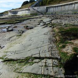 Rock ledges of Blue Lias limestone below the new sea wall at Lyme Regis