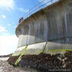 Looking up at the new sea wall at Church Cliffs in Lyme Regis.