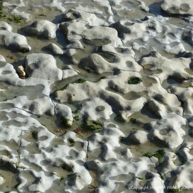 Hummocky limestone surface of rock platform on the shore below the new sea wall at Lyme Regis on Dorset's Jurassic Coast.