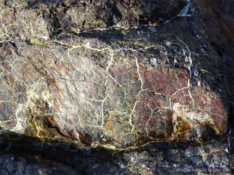Close-up of rock at Kennack Sands