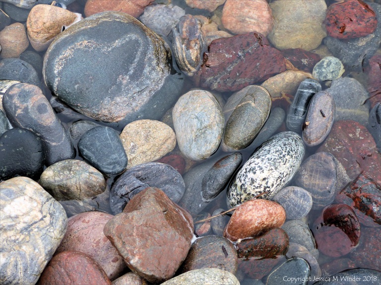 Pebbles in a beach stream at Kennack Sands