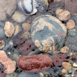Pebbles in a beach stream at Kennack Sands