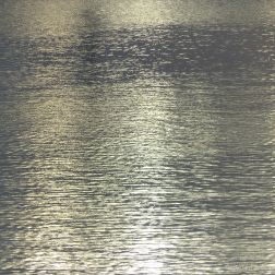 Reflected golden light on the surface of water