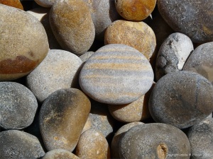 Pebbles on Chesil Beach