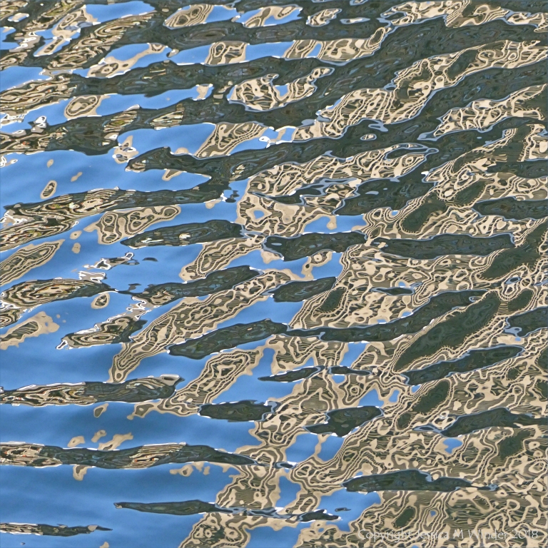 Patterns of reflection on rippled water