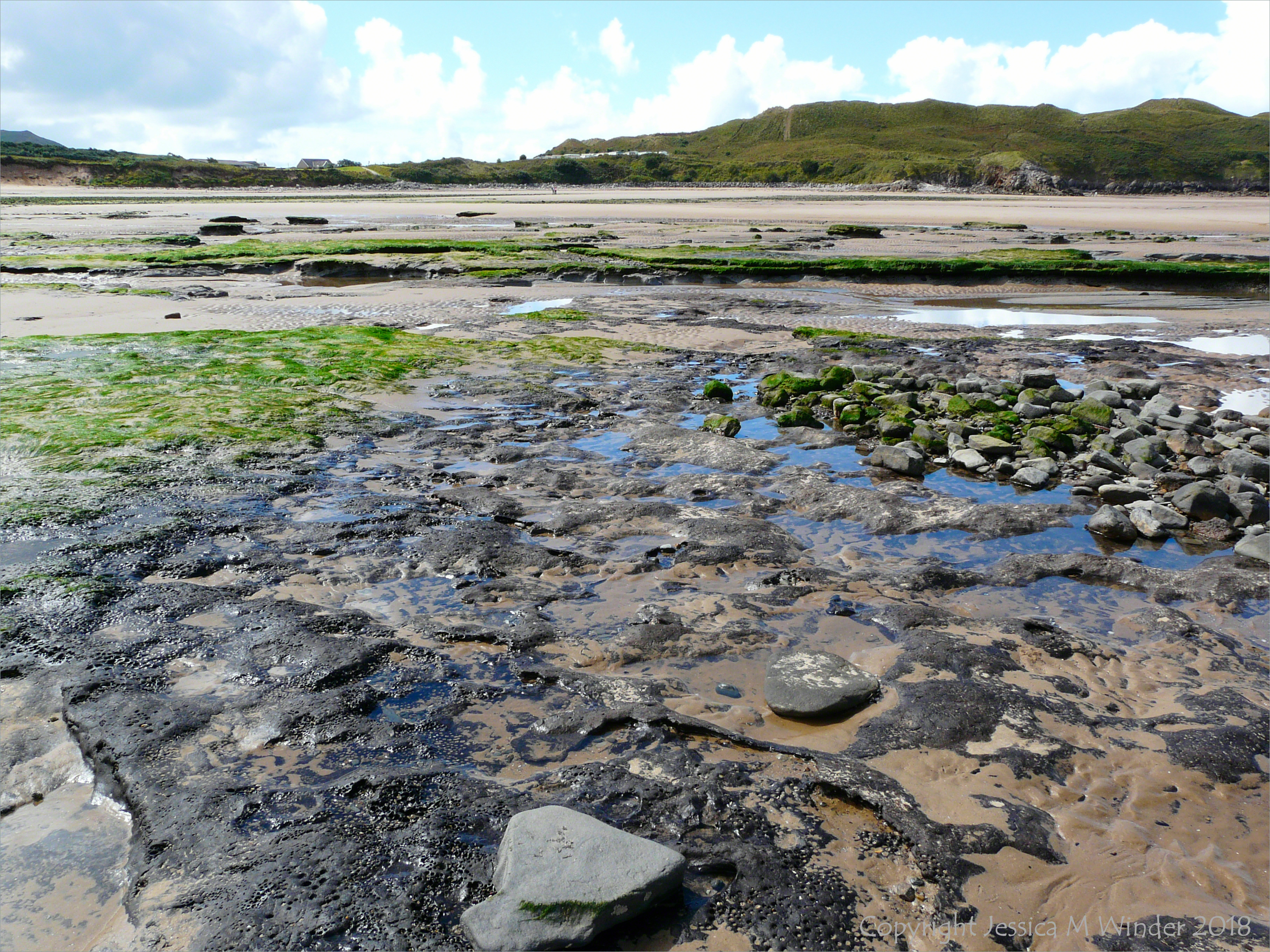 View looking upshore over eroding ancient peat and clay beds at Broughton Bay