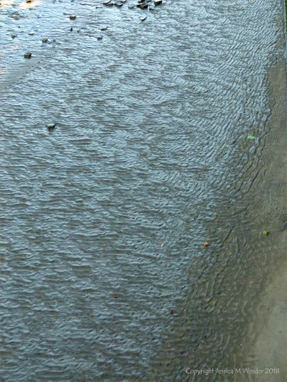 Natural ripple patterns in tidal river mud