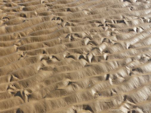 Natural patterns in beach sand