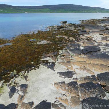 Flagstone and fucoids on the beach at Point of Hellia in Orkney