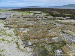 Layers of Upper Stromness Flagstones on the beach at Grit Ness