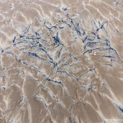 Natural patterns in the sand