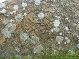 Texture and pattern in Devonian sedimentary rocks used for building stone walls on a over 2000 years ago